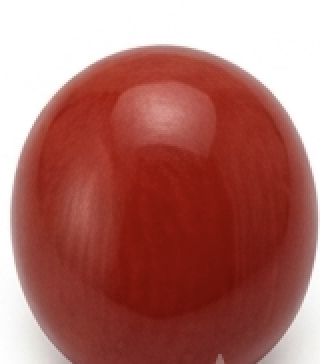 Red Coral (Moonga)